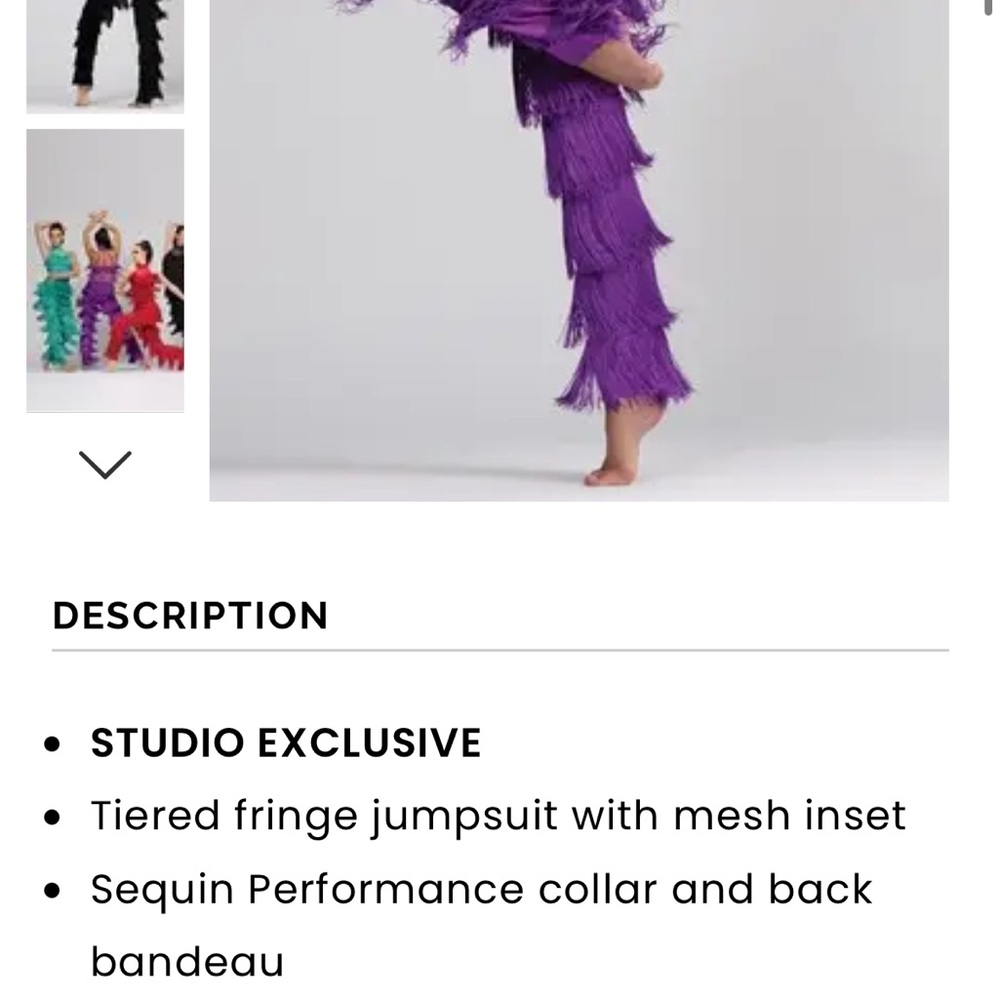 Weissman Purple Fringe Dance Costume Nobody’s Supposed To Be Here
